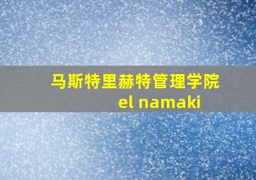 马斯特里赫特管理学院 el namaki